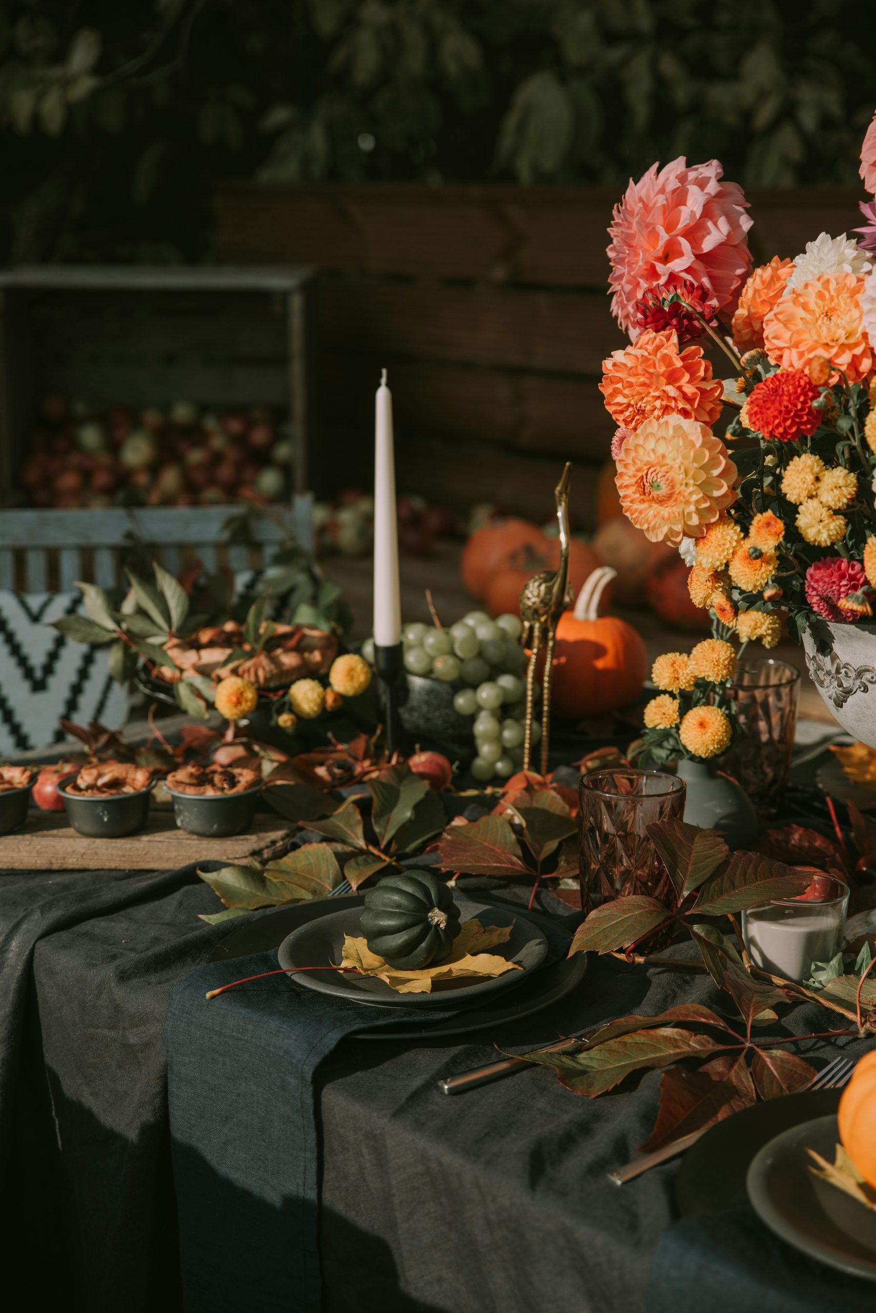 Home anita austvika jnteafdgfka unsplash